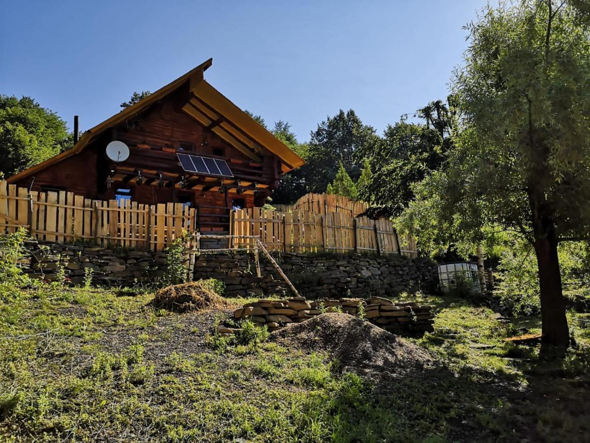 Pensiunea Izvorul Bucuriei Siriu Extérieur photo