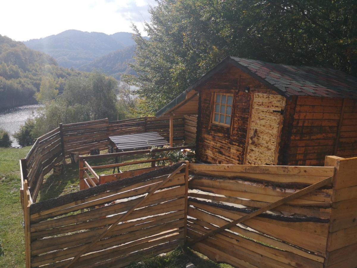 Pensiunea Izvorul Bucuriei Siriu Extérieur photo