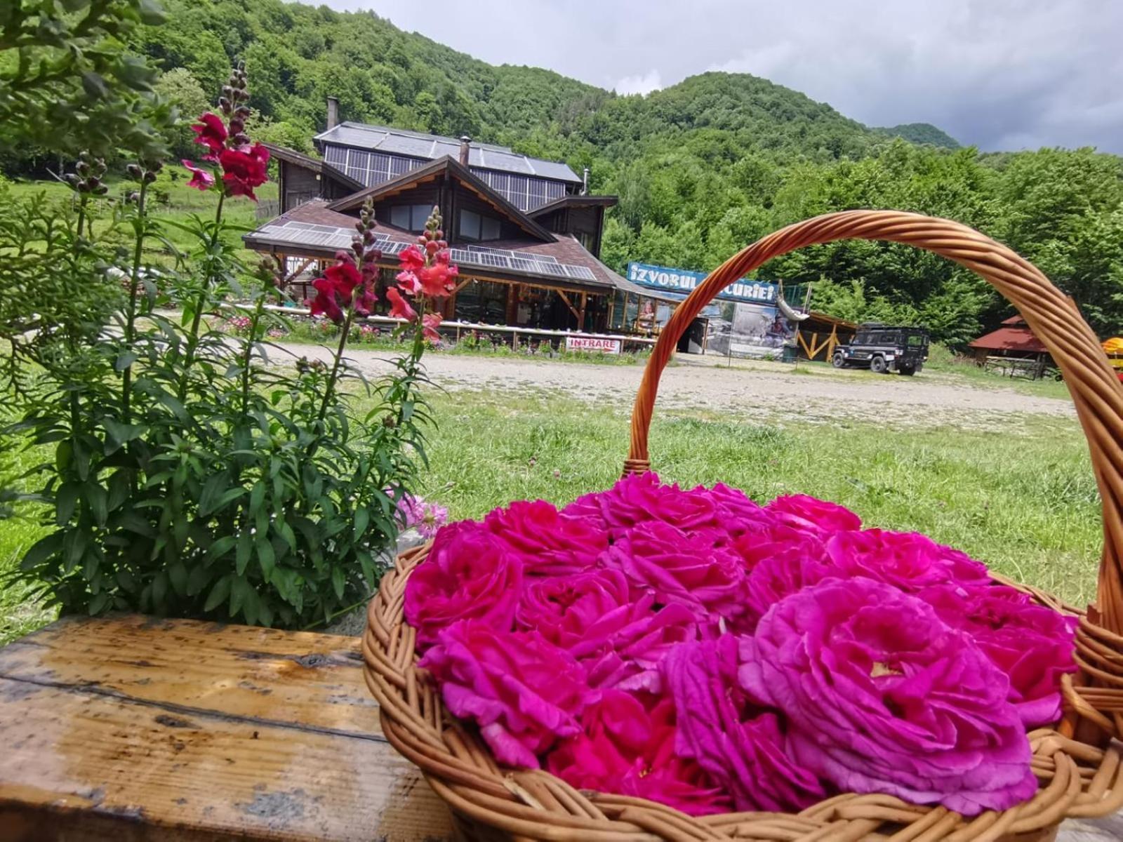 Pensiunea Izvorul Bucuriei Siriu Extérieur photo